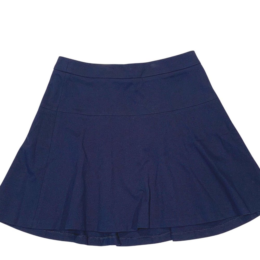 Banana Republic Navy Ponte Skirt (6P)